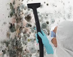 Best Attic Mold Removal  in USA